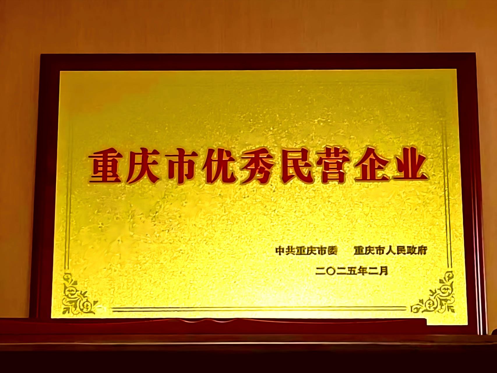 2024年免费资料全集